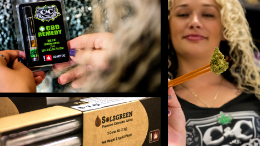 Some images from a dispensary photo shoot.<br>Quality images help your product sell!